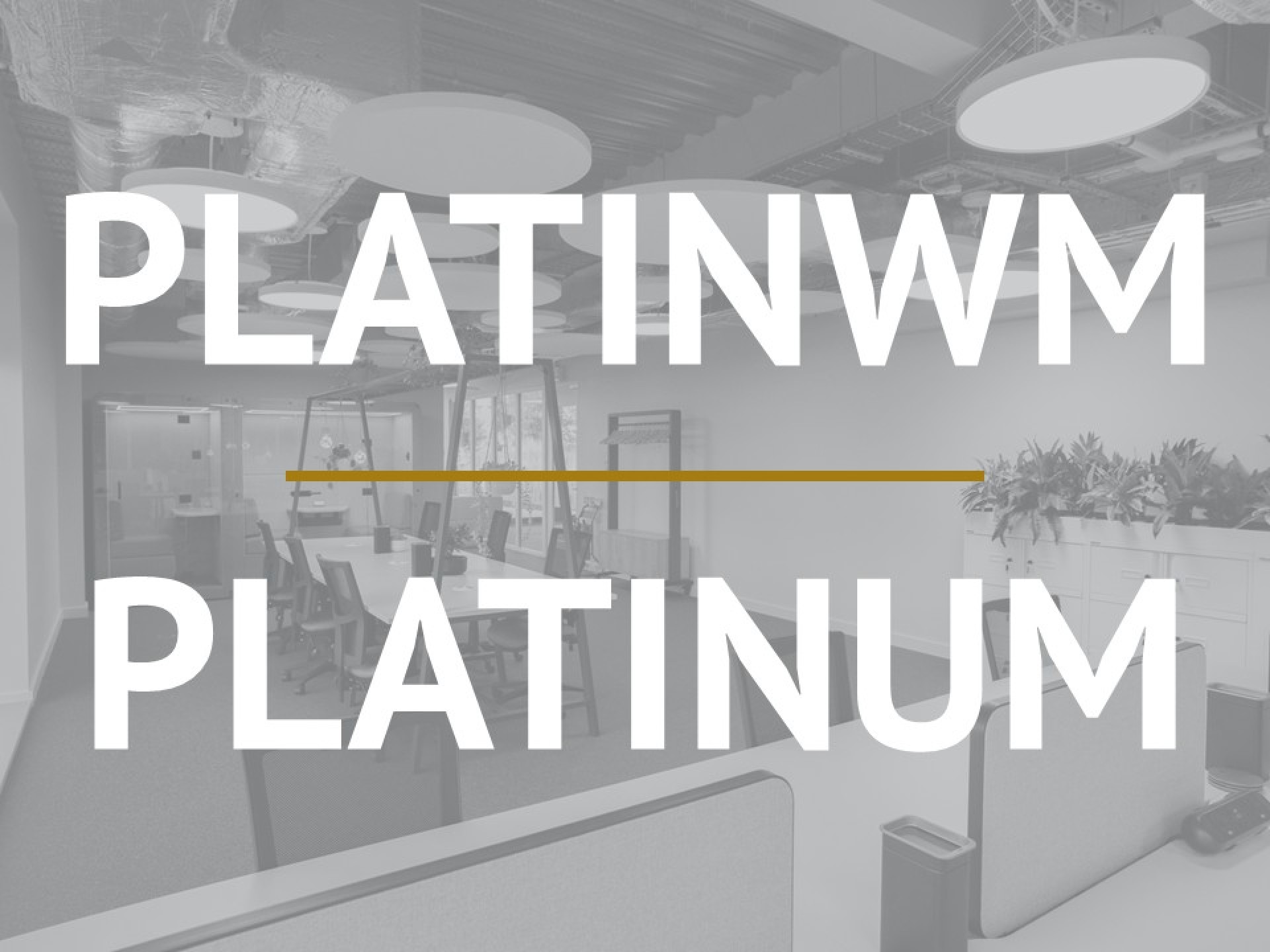 Platinum image 1 of 1