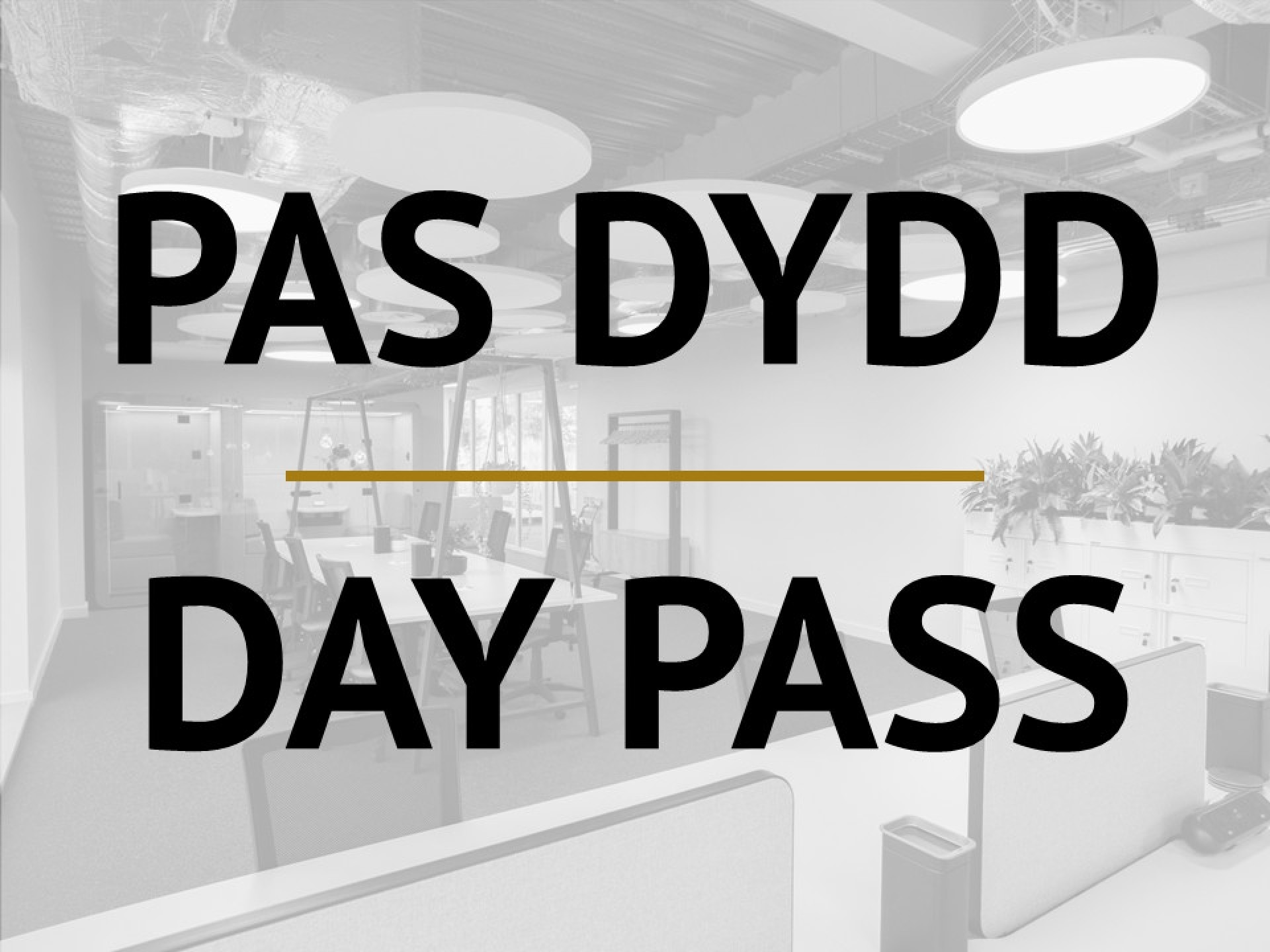 Day Pass image 1 of 1